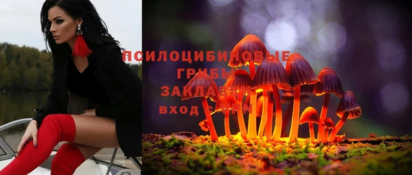 таблы Приозерск