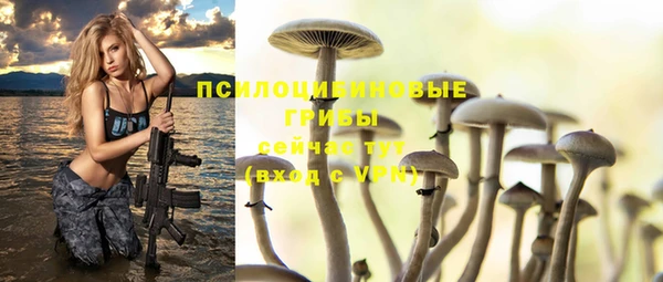 таблы Приозерск